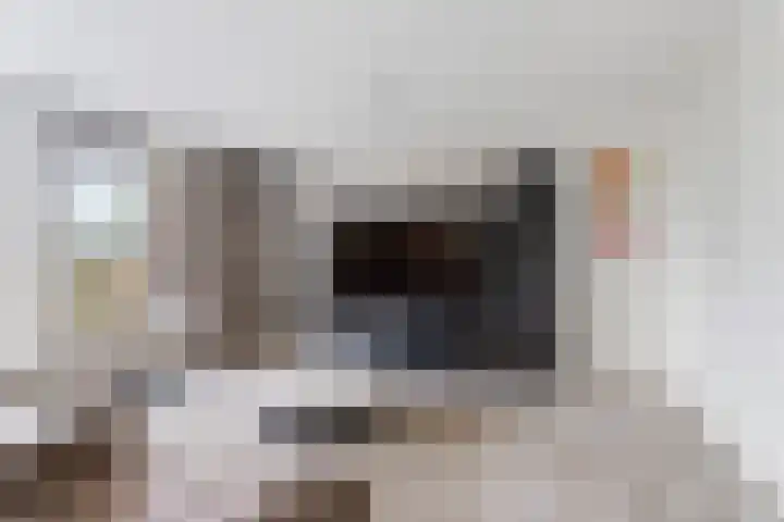 Buizerdlaan 193 Leidschendam thumbnail 14