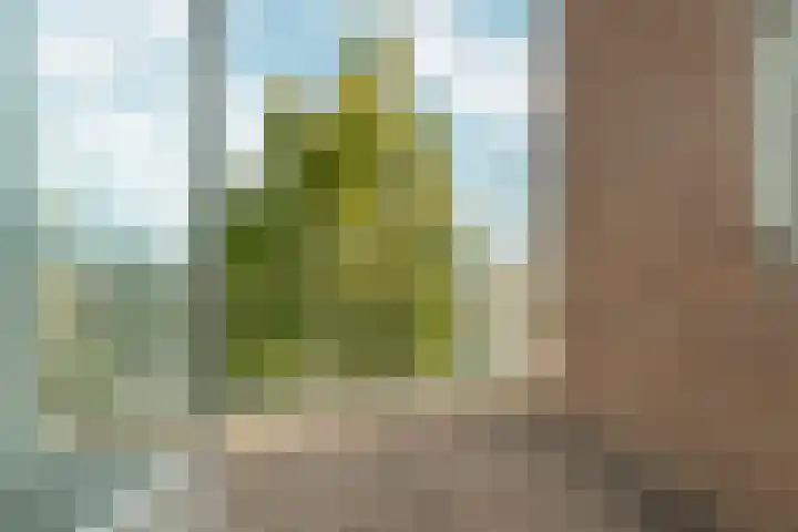 Buizerdlaan 193 Leidschendam thumbnail 25