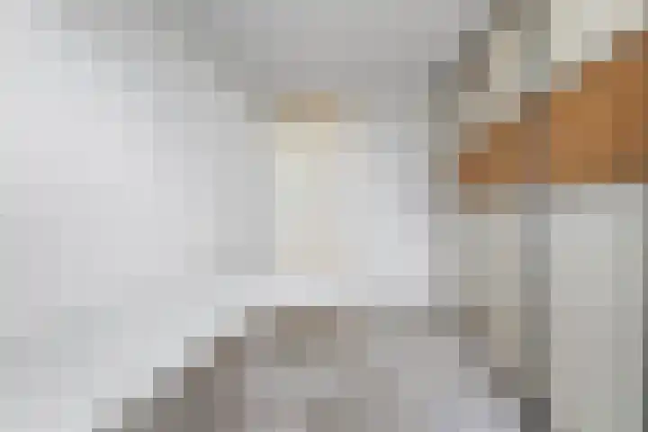 Buizerdlaan 193 Leidschendam thumbnail 34