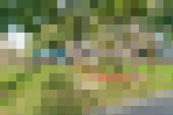 Buizerdlaan 193 Leidschendam thumbnail 43