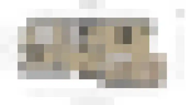 Buizerdlaan 193 Leidschendam thumbnail 46