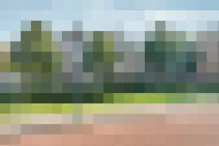 Buizerdlaan 193 Leidschendam thumbnail 5