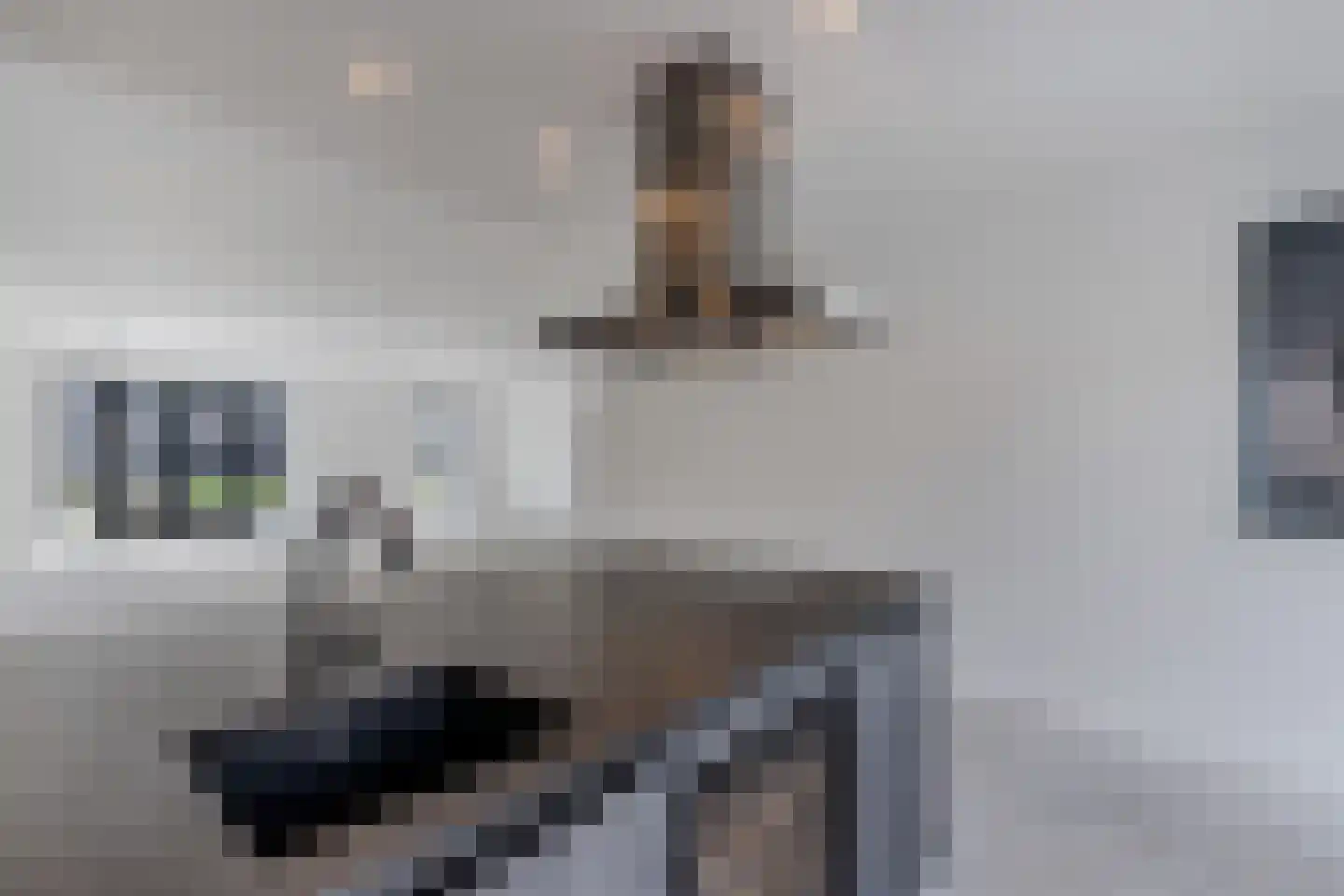Buizerdlaan 20 Lelystad thumbnail 32