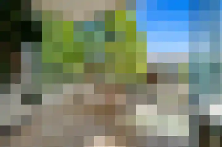 Buizerdlaan 203 Leidschendam thumbnail 14