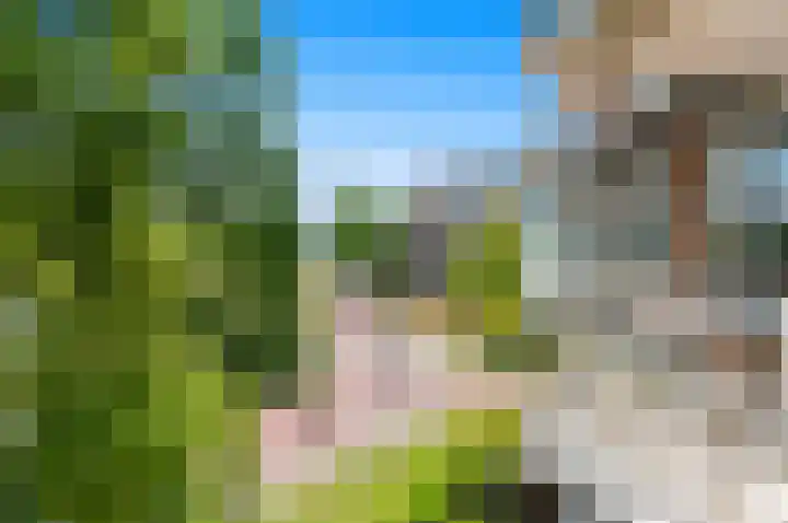 Buizerdlaan 203 Leidschendam thumbnail 17