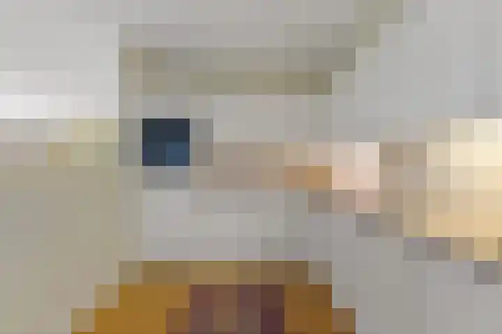 Buizerdlaan 203 Leidschendam thumbnail 20