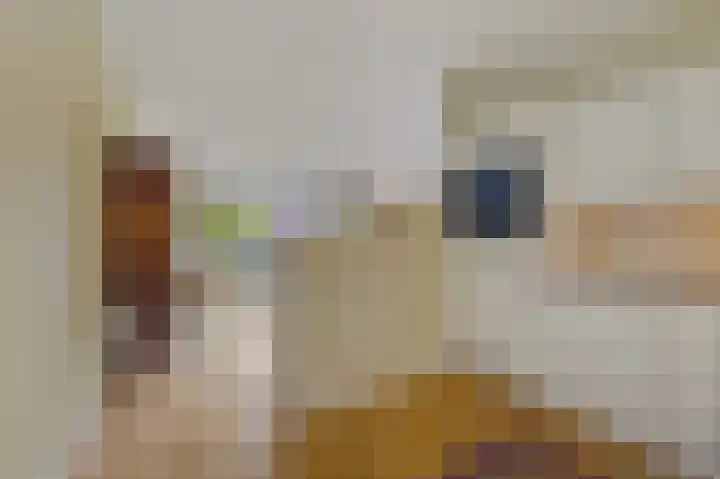 Buizerdlaan 203 Leidschendam thumbnail 21