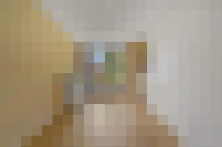 Buizerdlaan 203 Leidschendam thumbnail 23