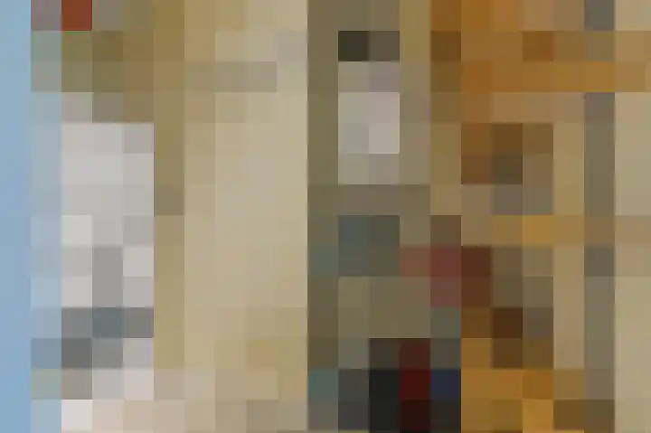 Buizerdlaan 203 Leidschendam thumbnail 30