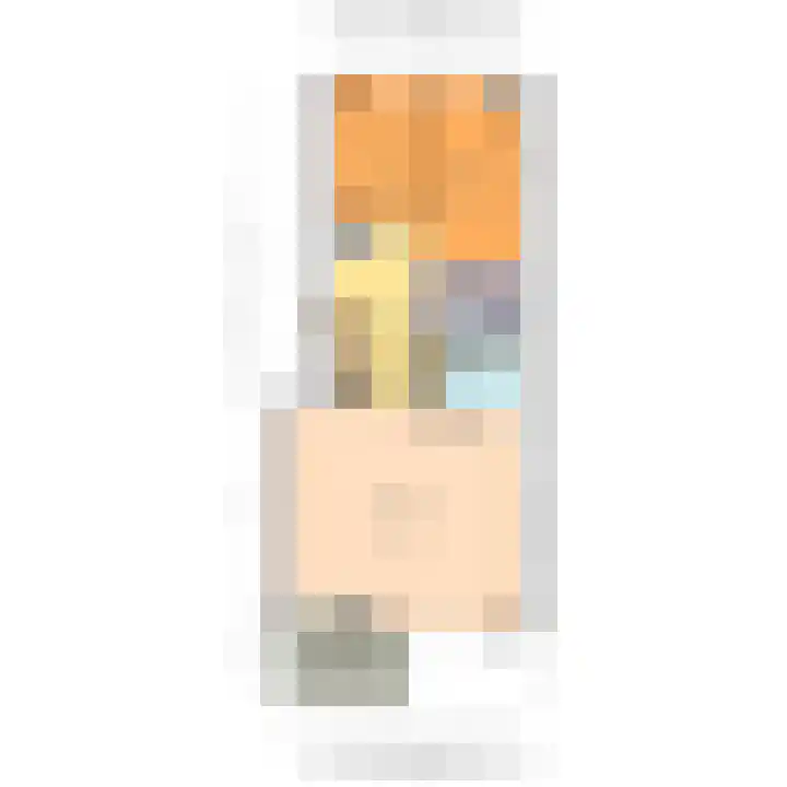 Buizerdlaan 203 Leidschendam thumbnail 37
