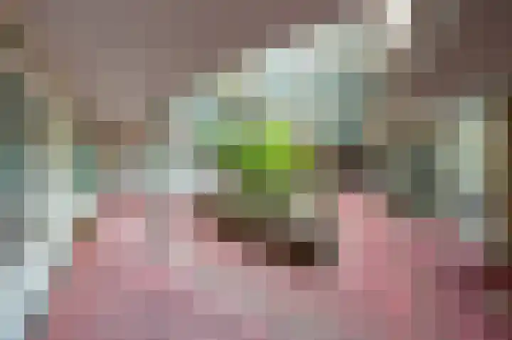 Buizerdlaan 203 Leidschendam thumbnail 4