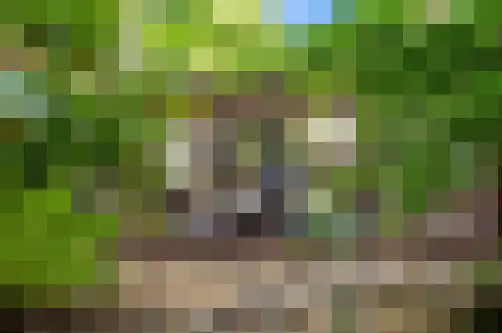 Buizerdlaan 203 Leidschendam thumbnail 5