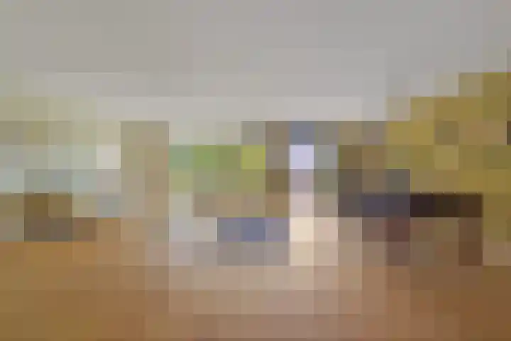 Buizerdlaan 203 Leidschendam thumbnail 6