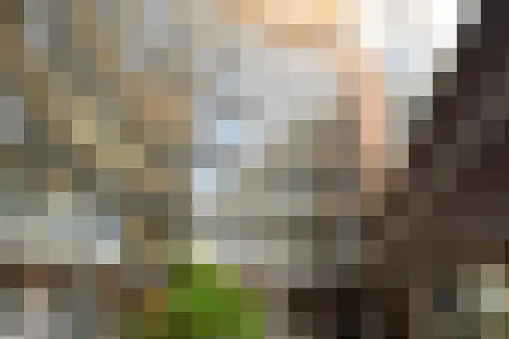 Buizerdlaan 213 Leidschendam thumbnail 10