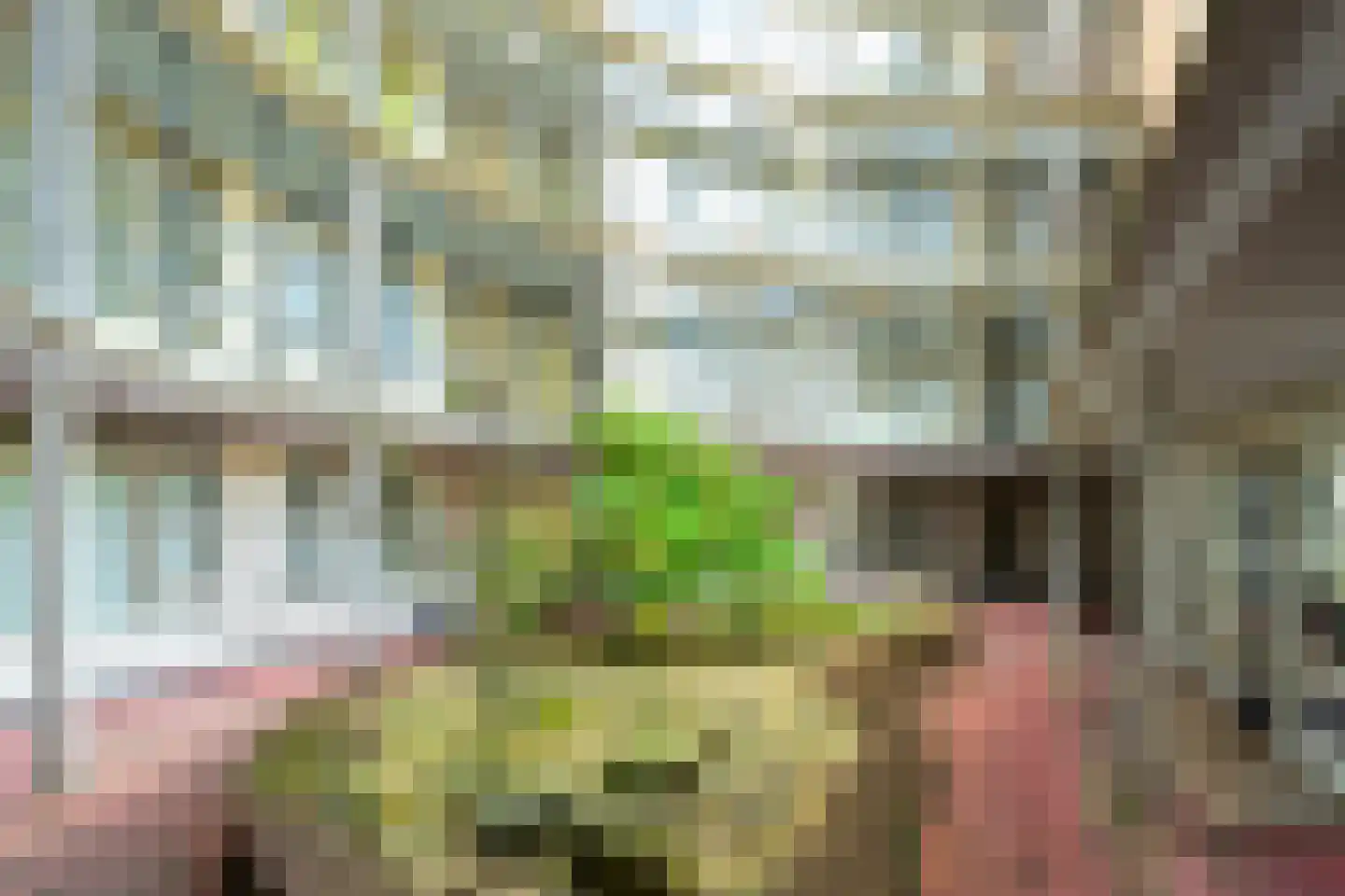 Buizerdlaan 213 Leidschendam thumbnail 12