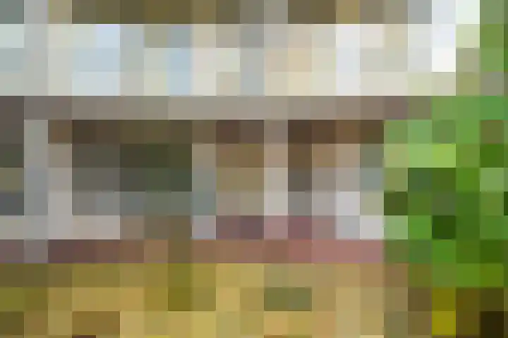 Buizerdlaan 213 Leidschendam thumbnail 12