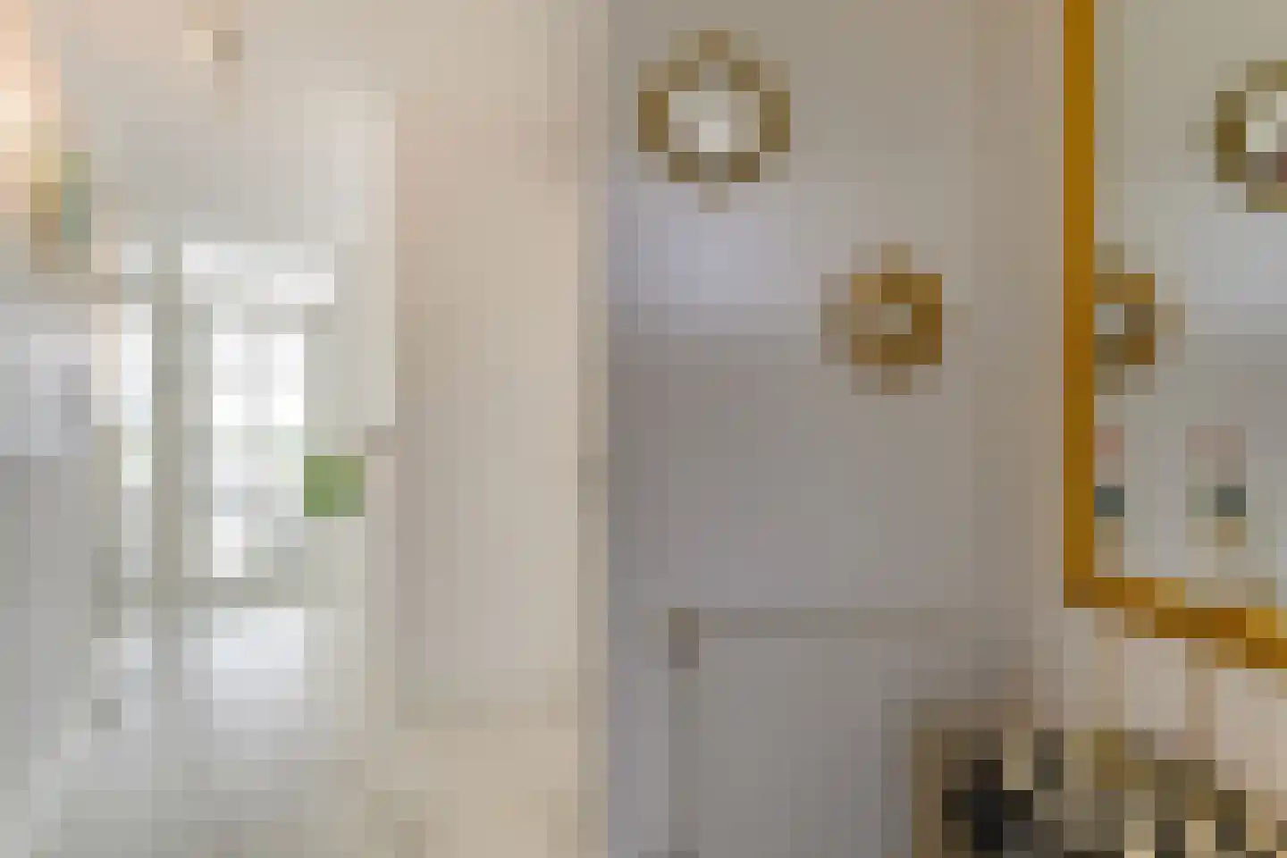 Buizerdlaan 213 Leidschendam thumbnail 14