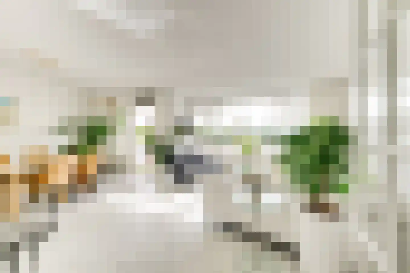 Buizerdlaan 213 Leidschendam thumbnail 19