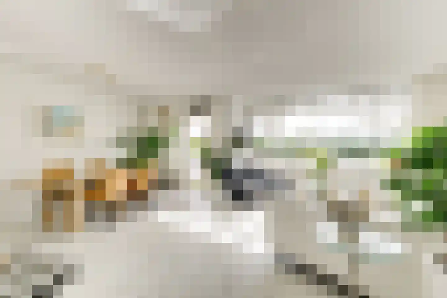 Buizerdlaan 213 Leidschendam thumbnail 20
