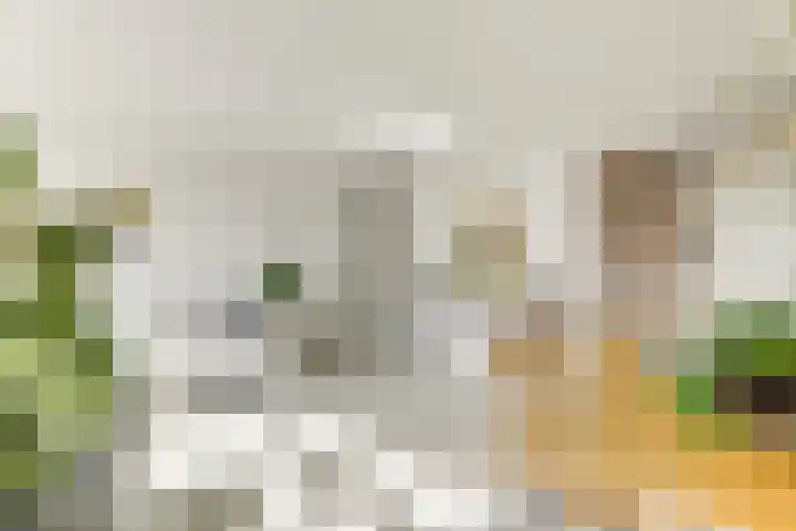 Buizerdlaan 213 Leidschendam thumbnail 21