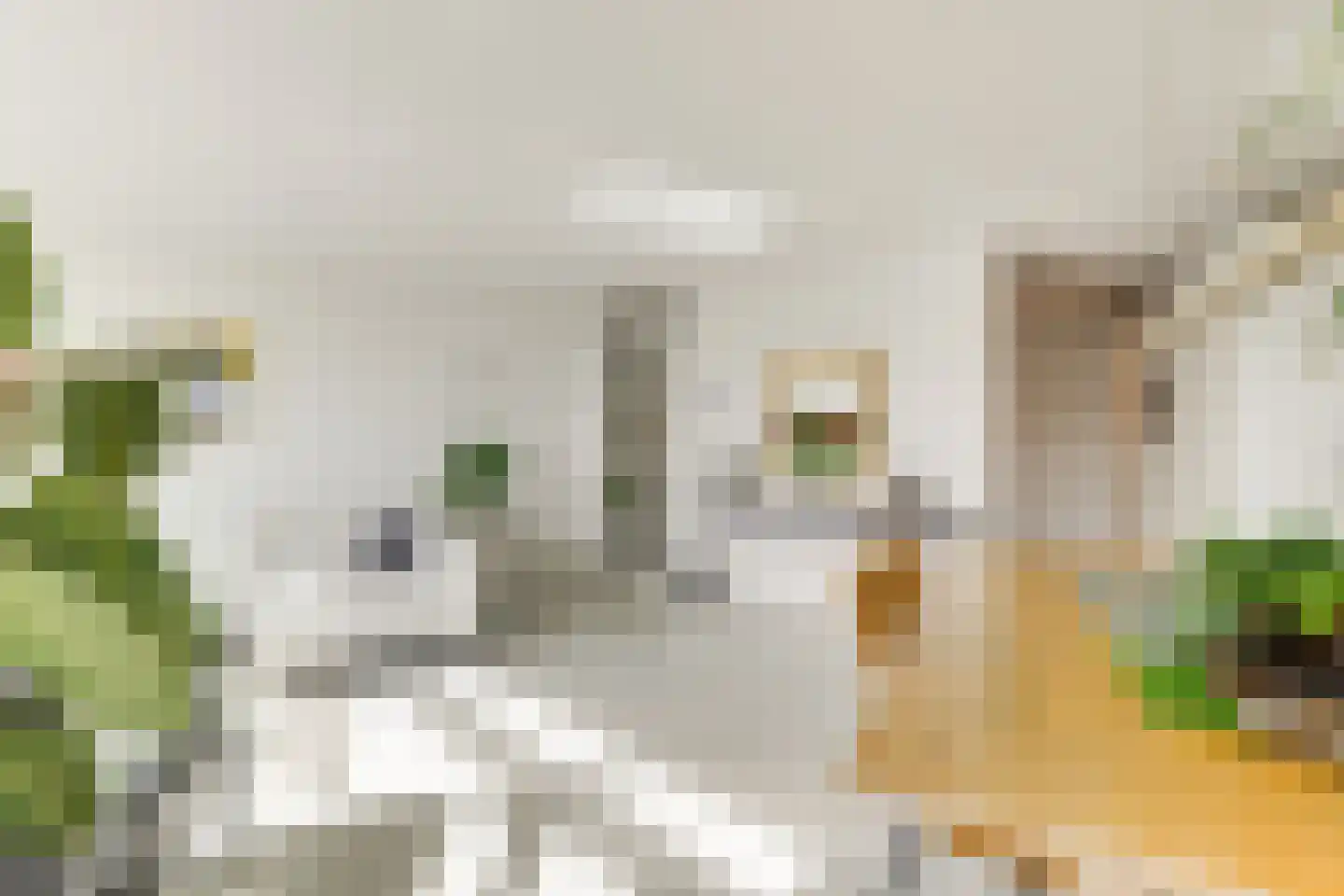 Buizerdlaan 213 Leidschendam thumbnail 22