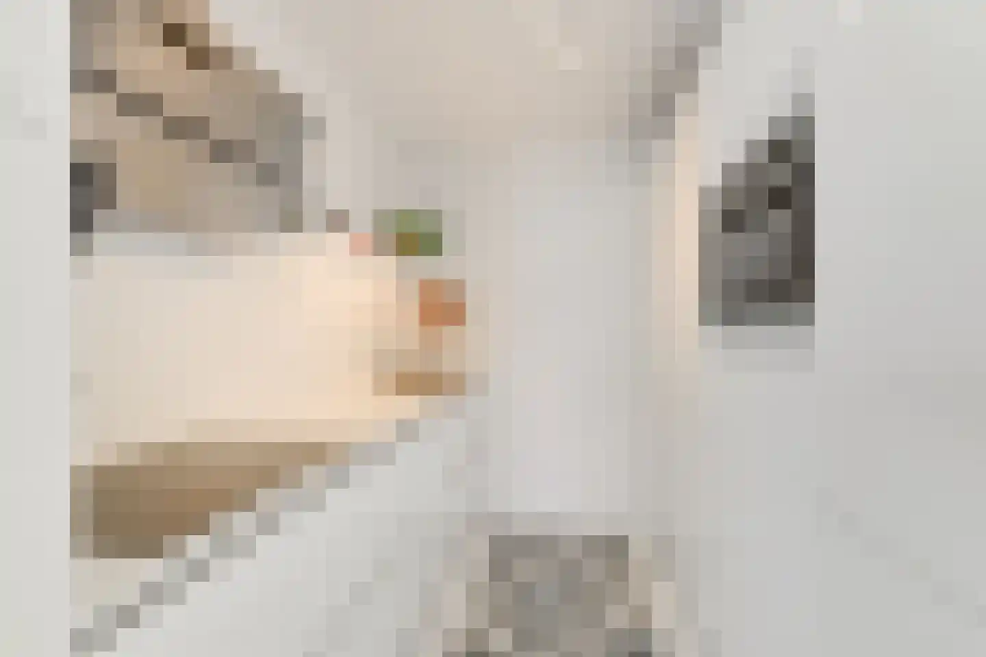 Buizerdlaan 213 Leidschendam thumbnail 25