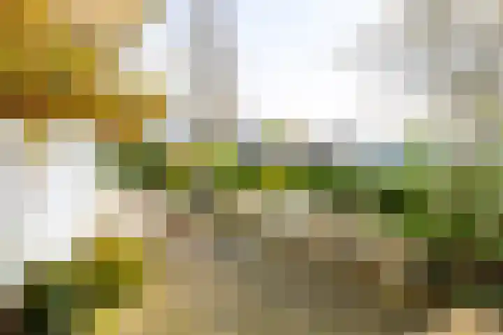 Buizerdlaan 213 Leidschendam thumbnail 28