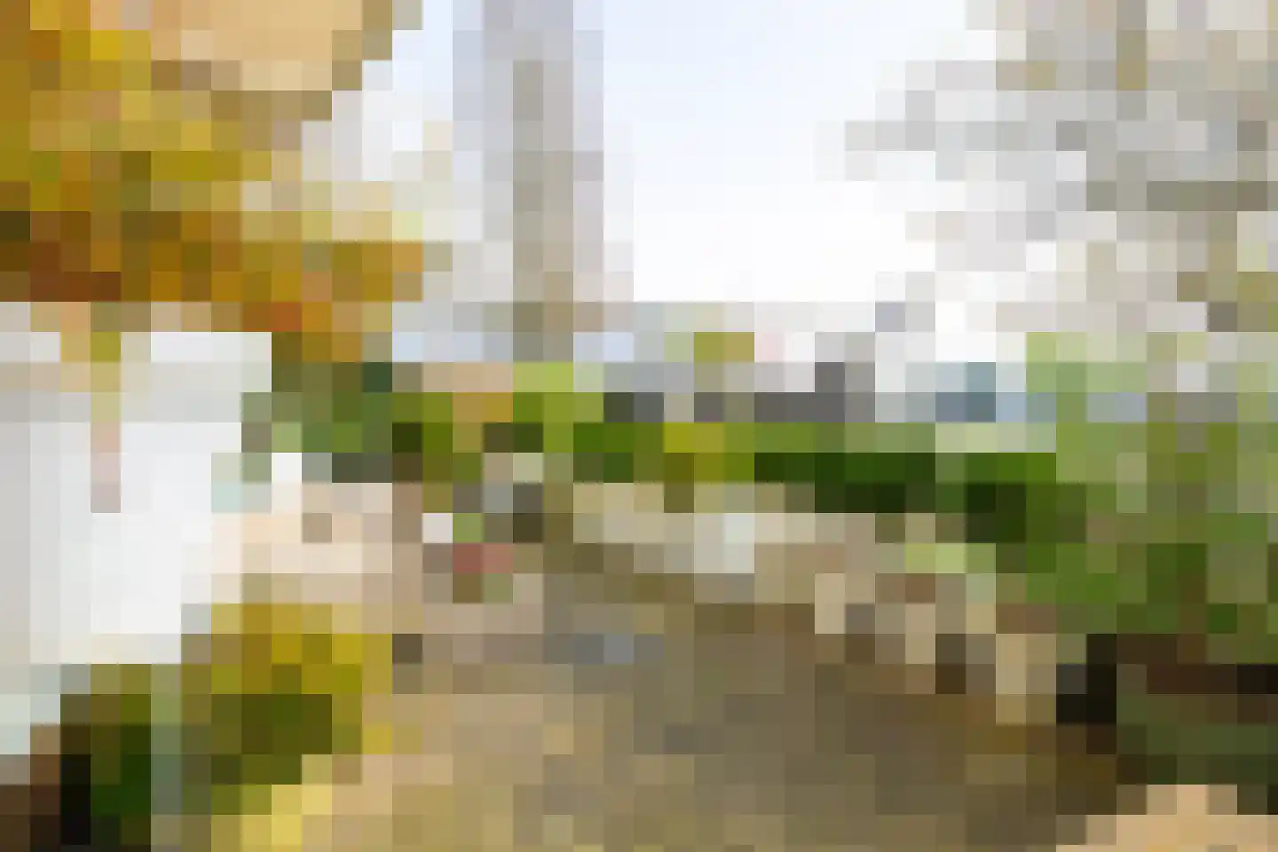 Buizerdlaan 213 Leidschendam thumbnail 29