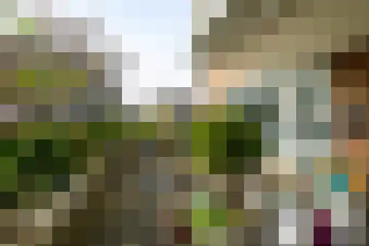 Buizerdlaan 213 Leidschendam thumbnail 29
