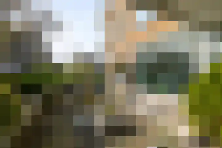 Buizerdlaan 213 Leidschendam thumbnail 30
