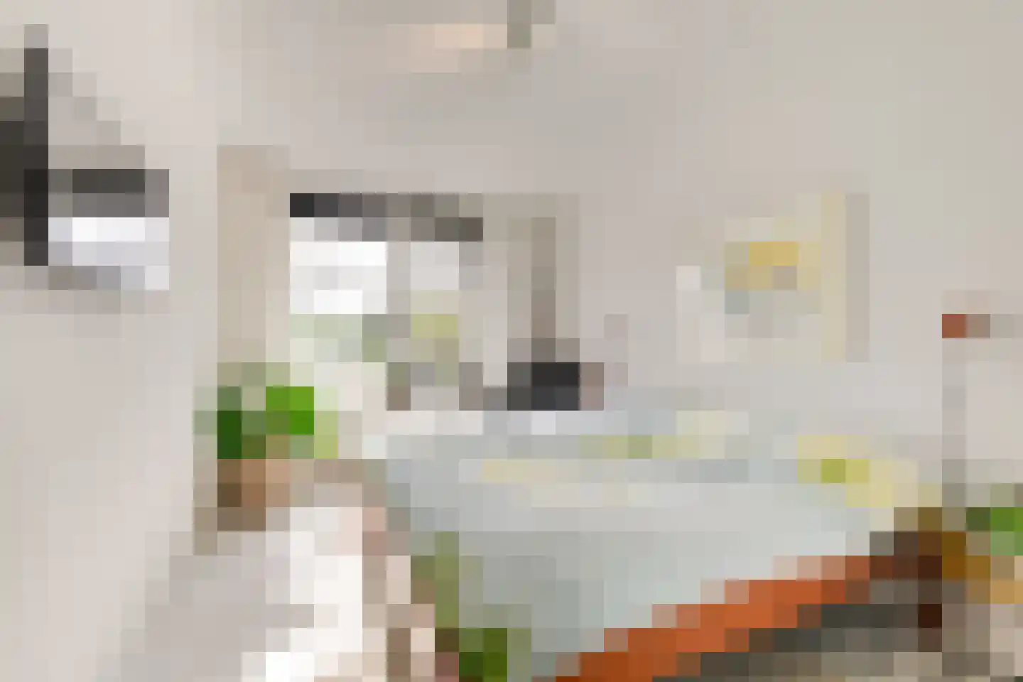 Buizerdlaan 213 Leidschendam thumbnail 34
