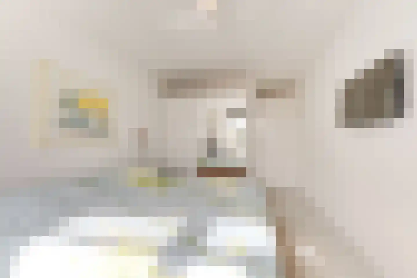Buizerdlaan 213 Leidschendam thumbnail 35