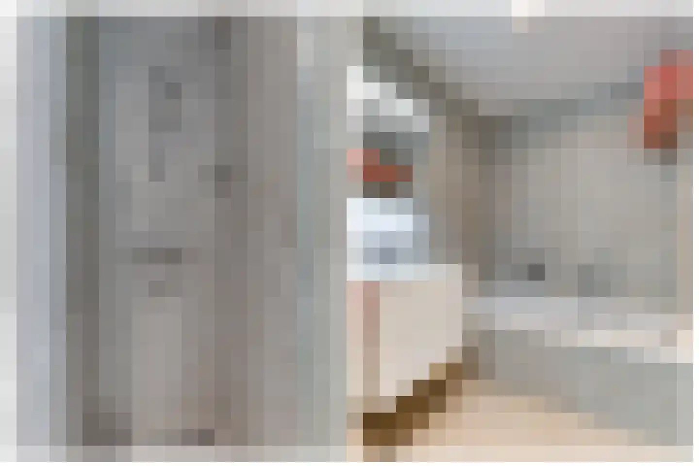 Buizerdlaan 213 Leidschendam thumbnail 37