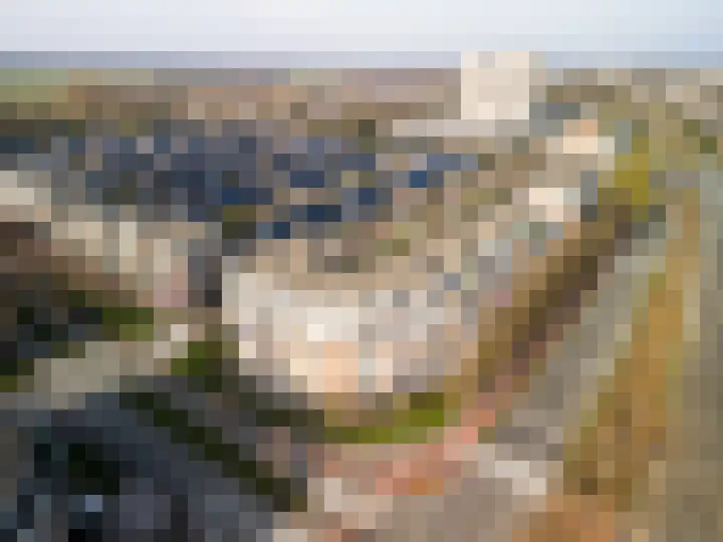 Buizerdlaan 213 Leidschendam thumbnail 45