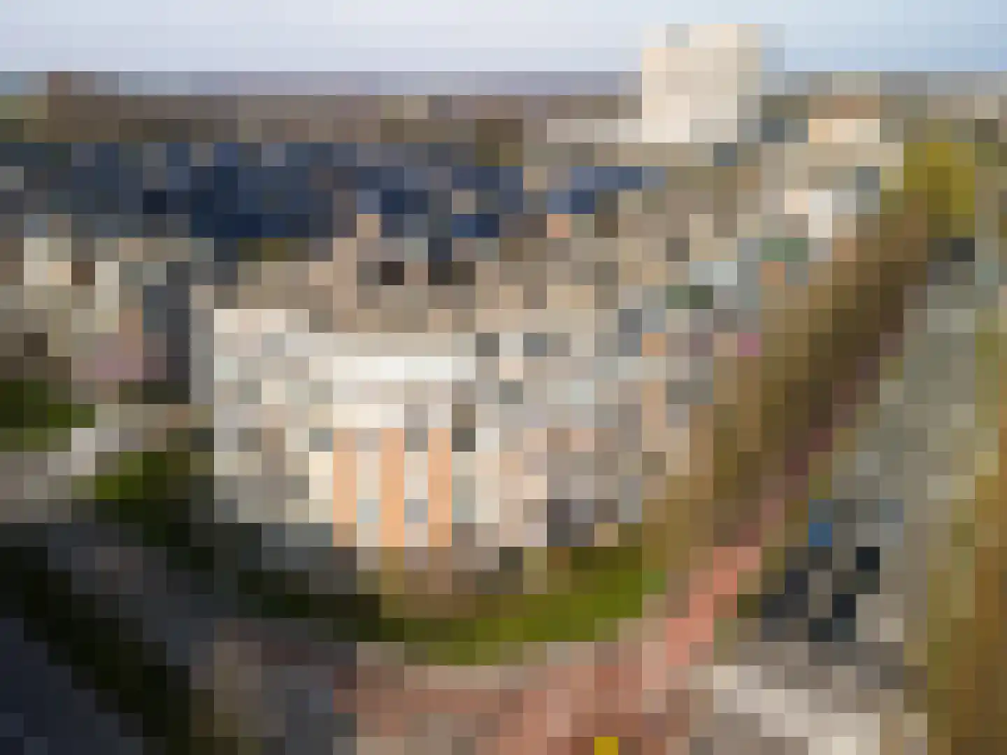 Buizerdlaan 213 Leidschendam thumbnail 47