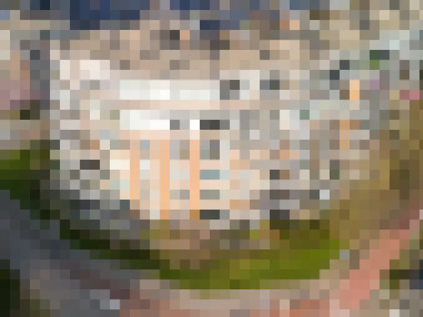 Buizerdlaan 213 Leidschendam thumbnail 6