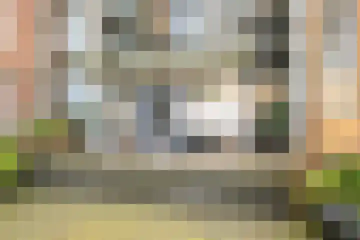 Buizerdlaan 213 Leidschendam thumbnail 9
