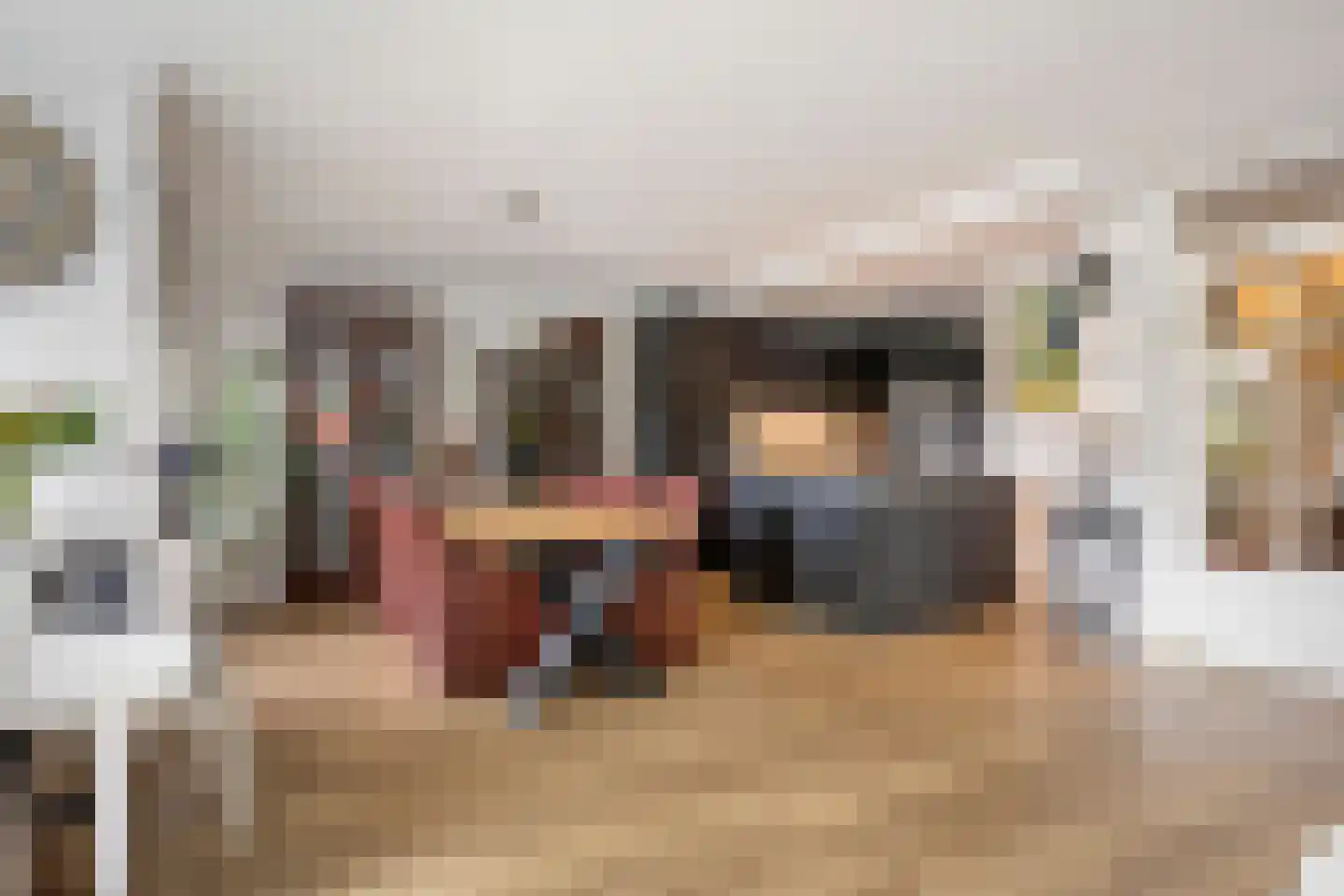 Buizerdlaan 223 Leidschendam thumbnail 12