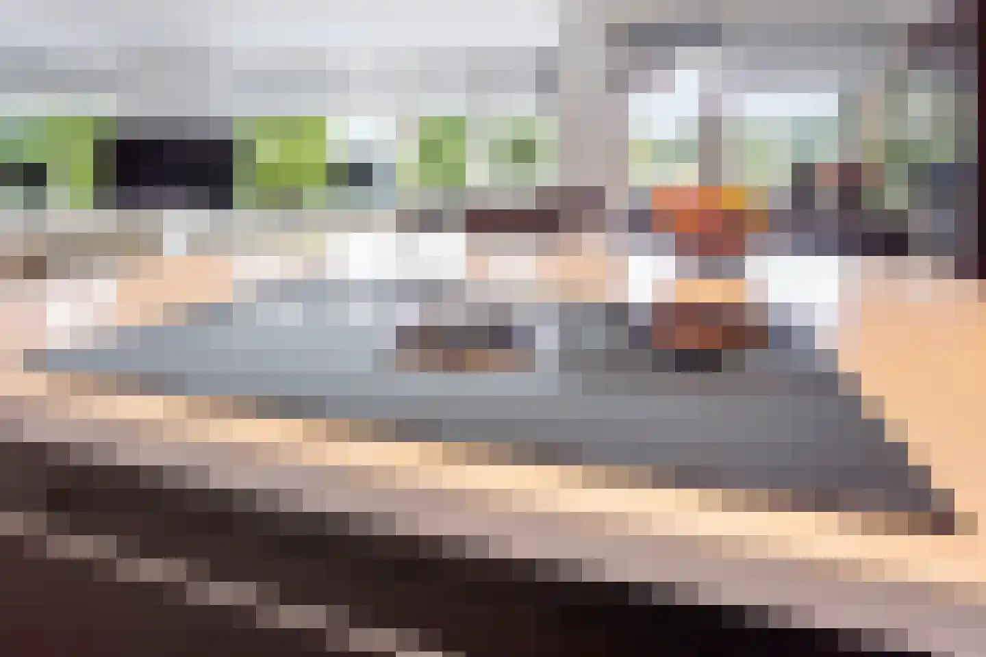 Buizerdlaan 223 Leidschendam thumbnail 17