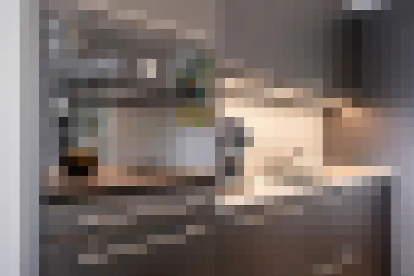 Buizerdlaan 223 Leidschendam thumbnail 18