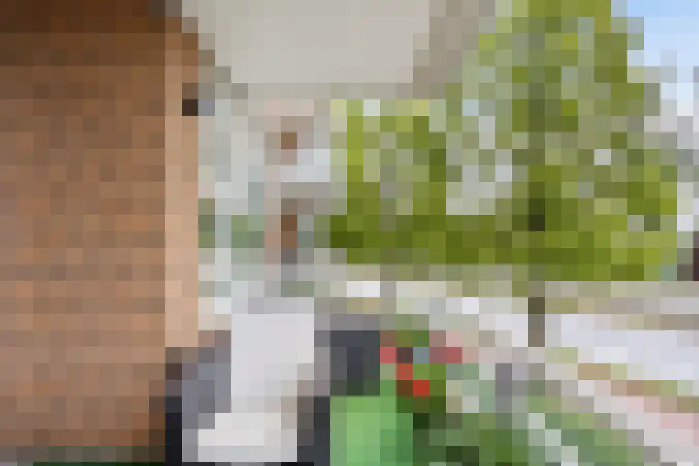Buizerdlaan 223 Leidschendam thumbnail 19