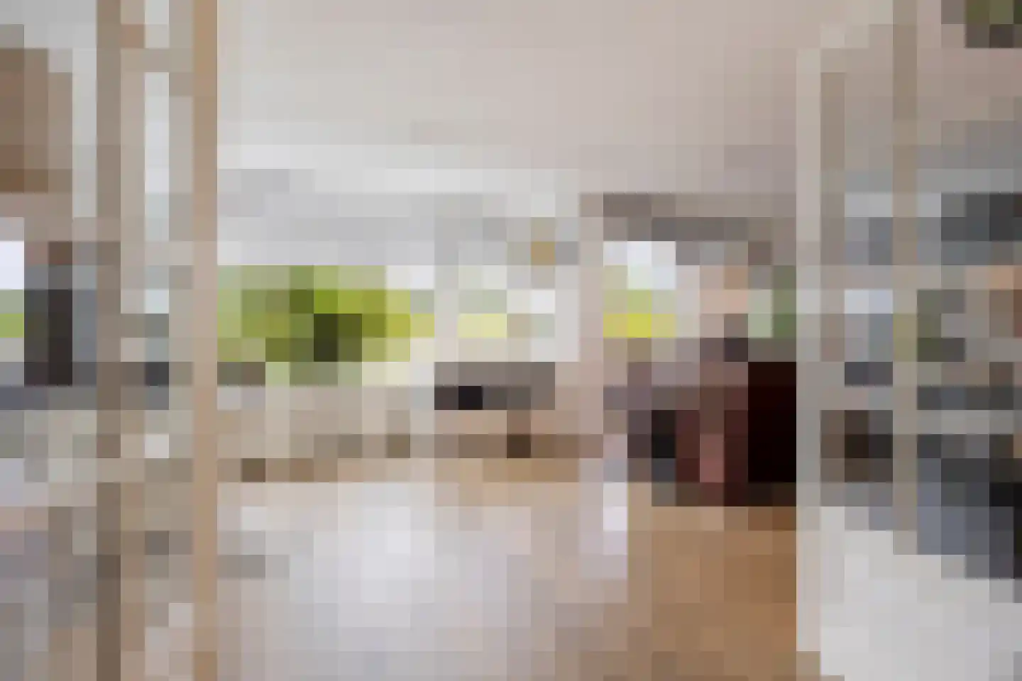 Buizerdlaan 223 Leidschendam thumbnail 4