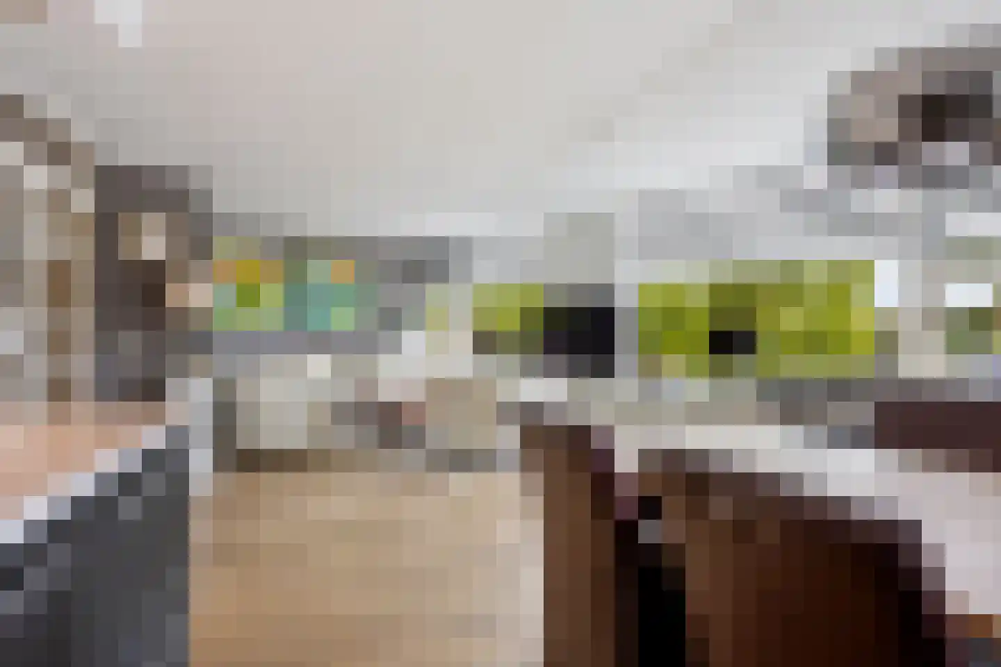 Buizerdlaan 223 Leidschendam thumbnail 6
