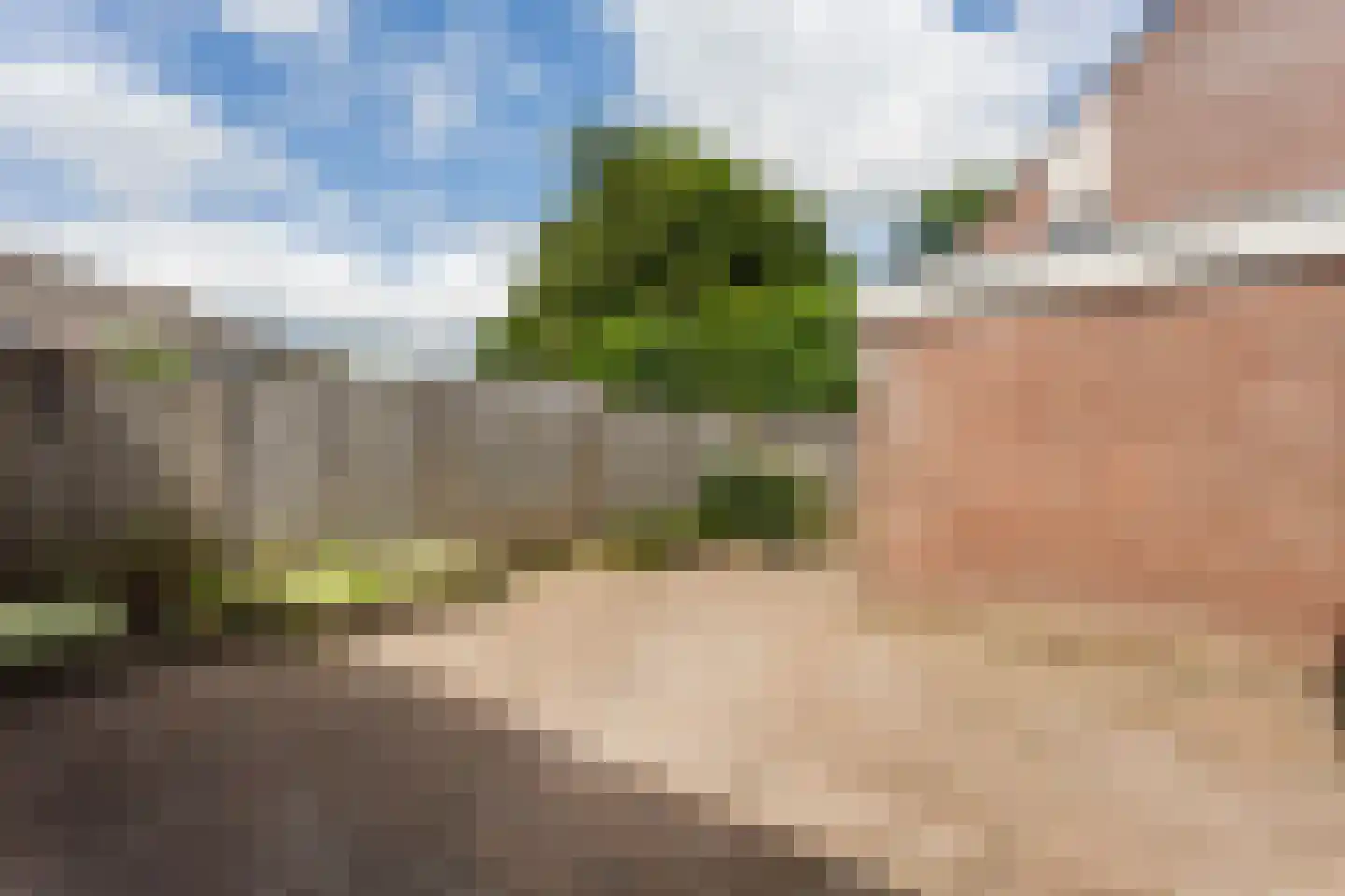 Buizerdlaan 24 Nijkerk thumbnail 29