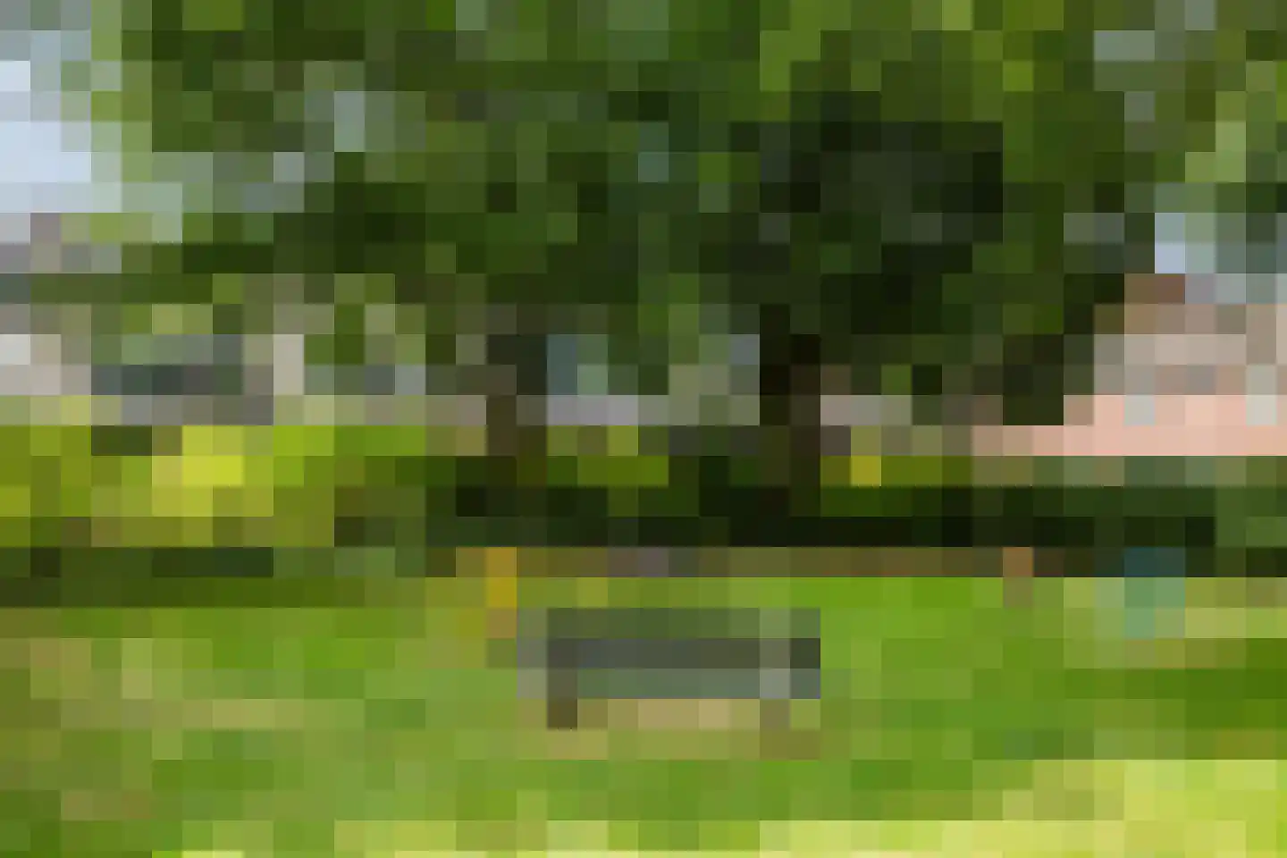 Buizerdlaan 24 Nijkerk thumbnail 34