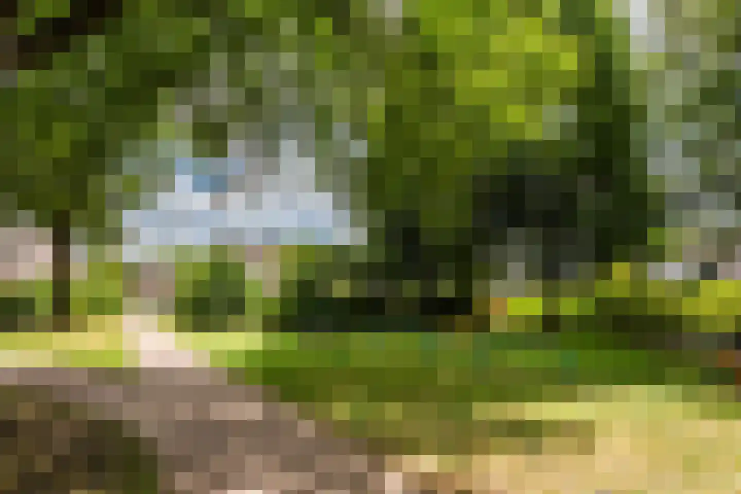 Buizerdlaan 24 Nijkerk thumbnail 35