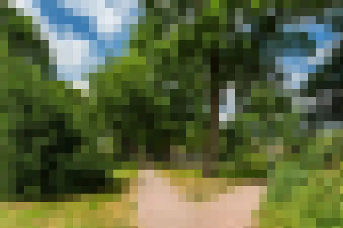 Buizerdlaan 24 Nijkerk thumbnail 36