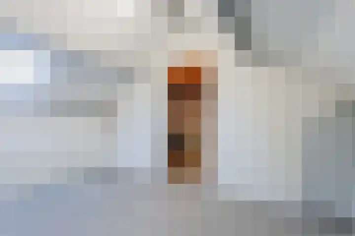 Buizerdlaan 25 Nijkerk thumbnail 26