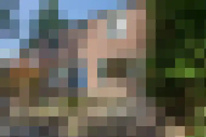 Buizerdlaan 25 Nijkerk thumbnail 29