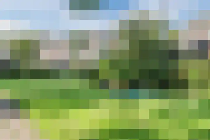 Buizerdlaan 25 Nijkerk thumbnail 30